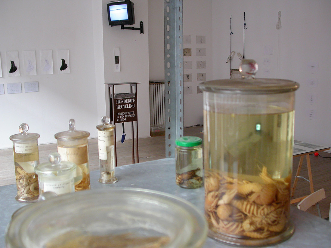 site samples