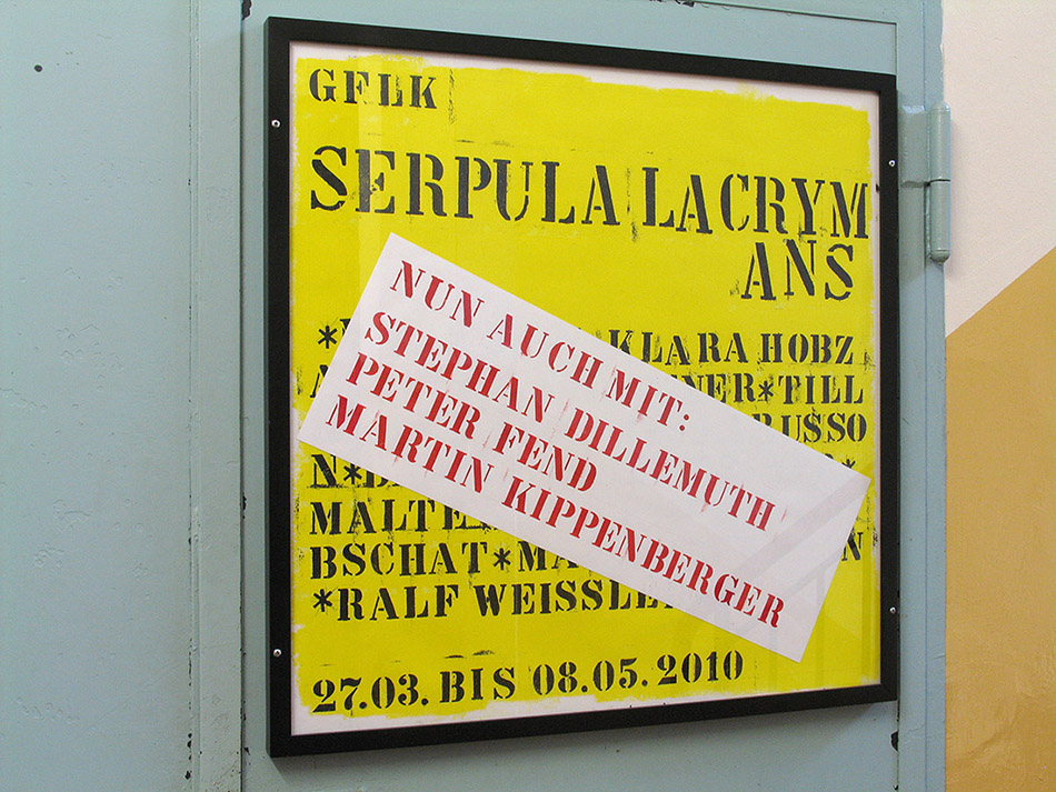 serpula lacrymans