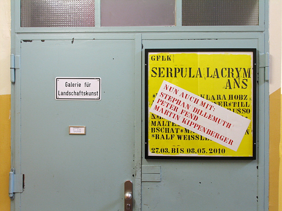 serpula lacrymans