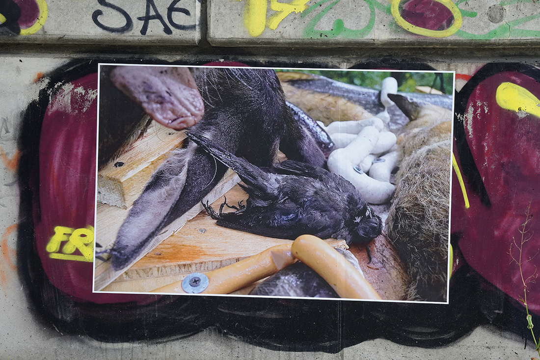 Floß der Verwesung