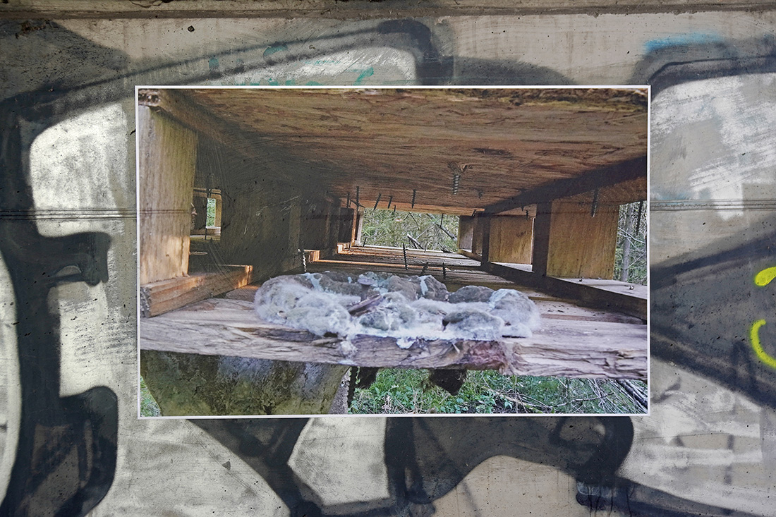 Floß der Verwesung